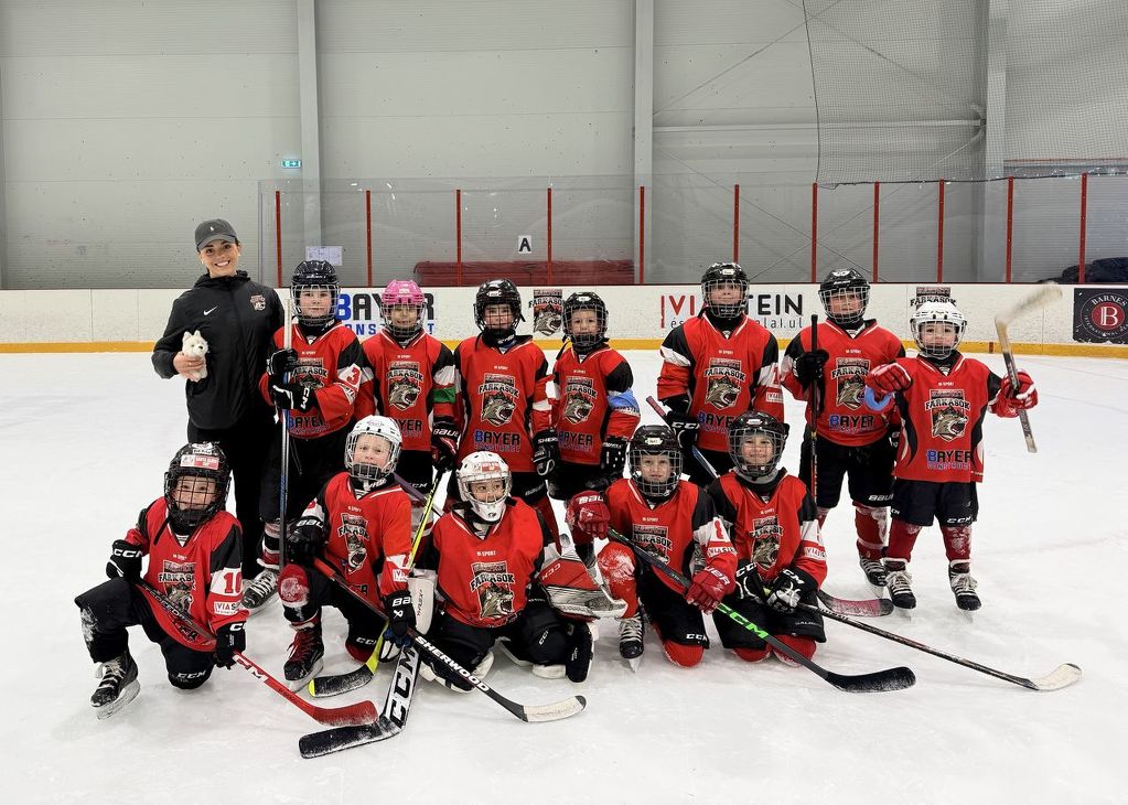 Heti hoki körkép (2026. 02. 23.i hét)